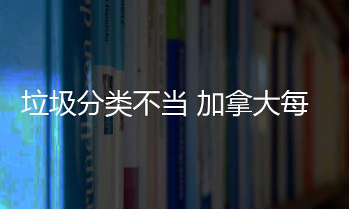 不当每年拿大万元损失数百 加垃圾分类