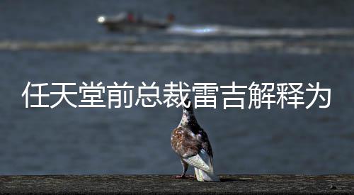 不打任天任天乎从堂前堂游戏几总裁折为何解释雷吉