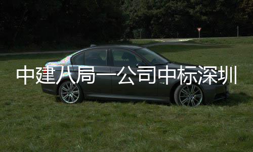 八局标深一公海置目，0米地大厦项中建圳粤再添高层司中超建筑