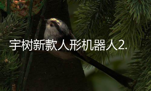 人形人2宇树元起于工业场新款9万售，机器景可用